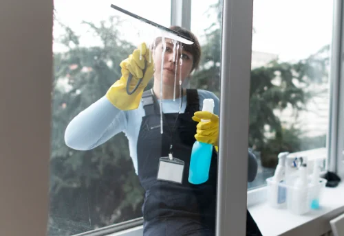 Nettoyage de vitres intérieures et extérieures au Plessis-Trévise